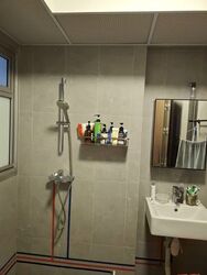 Blk 133B Plantation Grange (Tengah), HDB 4 Rooms #626910761